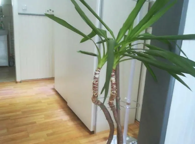 Zentral Gelegene In Velbert-mitte